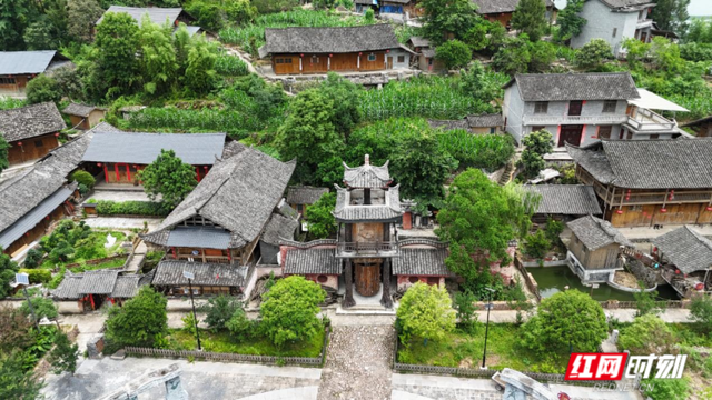 普查手记丨保靖：藏在武陵山脉深处的自然博物馆与人文活化石