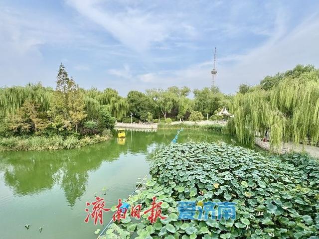 一年四季 泉在济南丨乘船赏景如入画 惬意度秋正当时