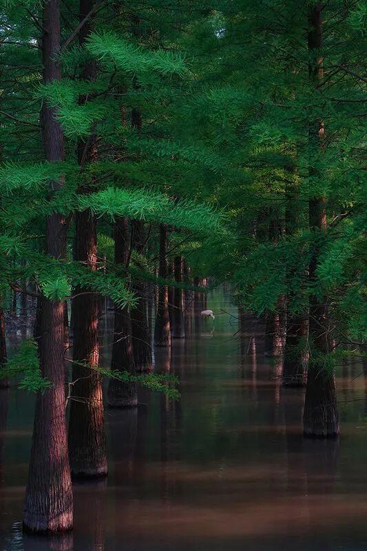 崇明这条生态研学路线，走起！