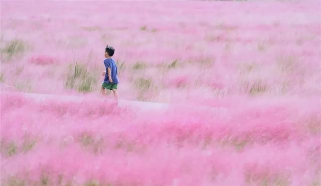 溧水赏秋指南，这周末就出发！