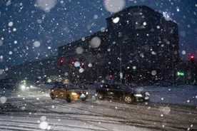 小雪｜无雪有花，落英缤纷中打边炉！图片