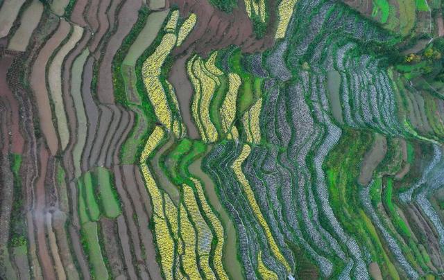 酉阳初冬美景合集：邂逅山间调色盘，每一帧都是壁纸！