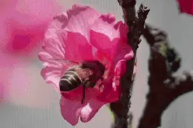 新华全媒+｜立春：春到人间草木知图片