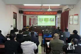 五指毛桃怎么种？连州九陂送农技下乡助推中药材产业高质量发展图片