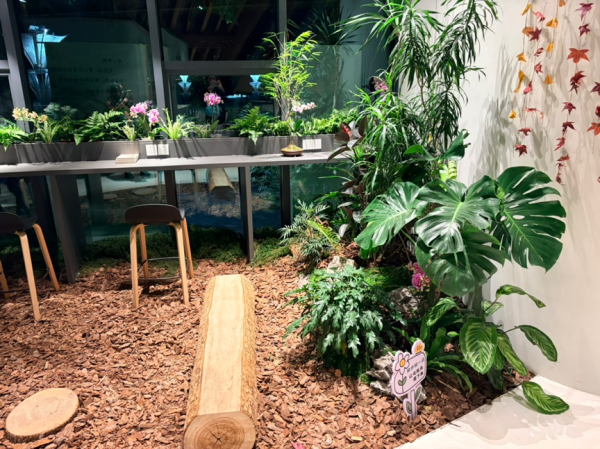 公园20分钟效应有了新去处！武汉解放公园上新“园艺咖啡”，周末客流量上千