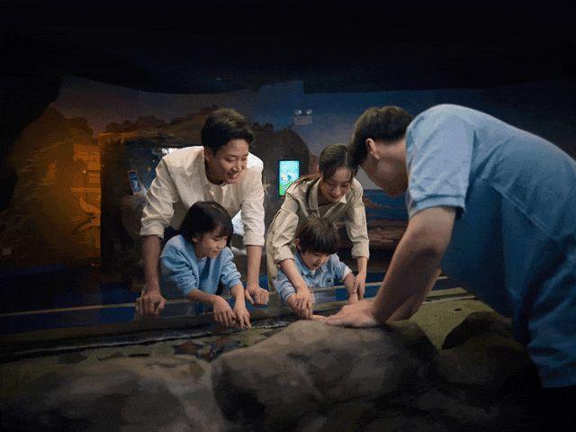 超出片！来普陀潜入海底世界，独享鳐鱼星空的浪漫→