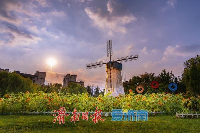 一年四季 泉在济南丨金色向日葵盛开，济南百联奥特莱斯化身“童话世界”