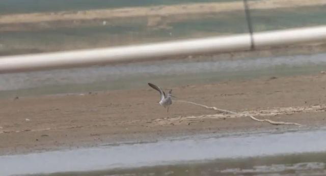 无锡最新追“星”指南，速收藏！