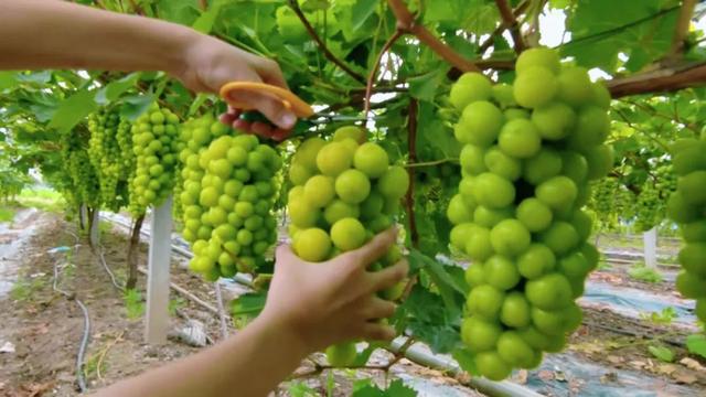 @荆州人，快来打开你的夏日限定相册！