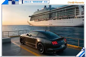 欧洲企业的在华“创新物种”进化论图片