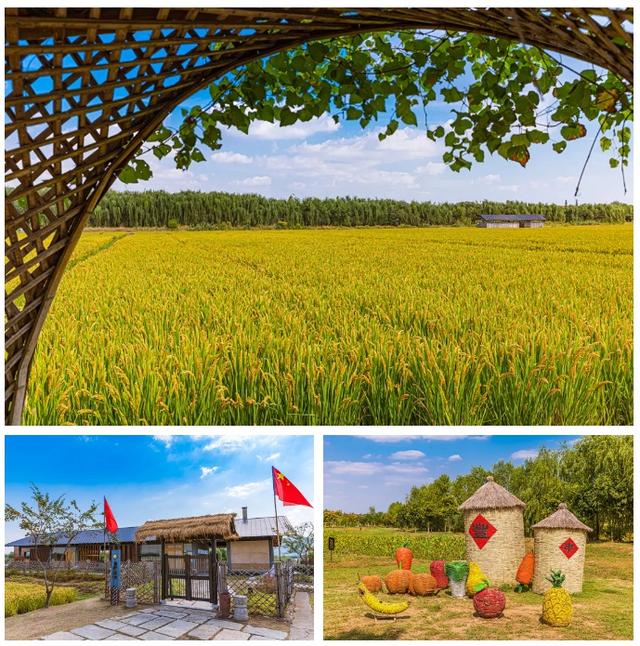 现在的宜兴，已经美成这样了……