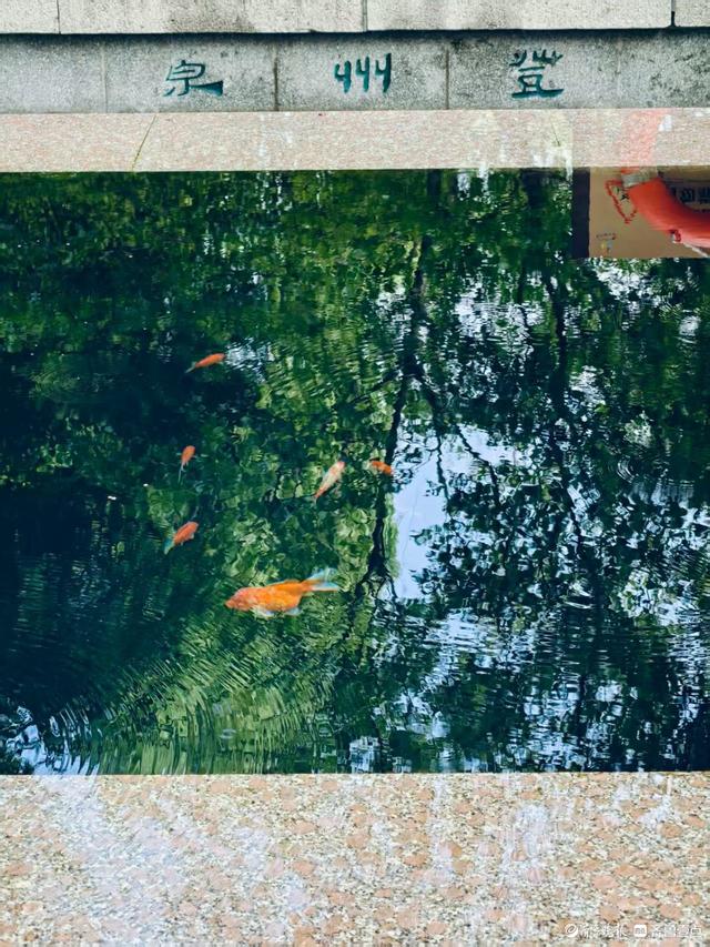 炎热的夏天，趵突泉给您带来一丝凉意