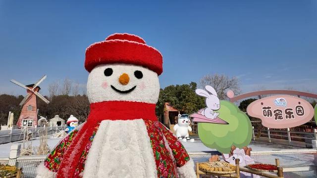 还去啥东北 金山就有“冰雪大世界”！