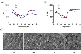 想让鱼丸好吃不简单！我国科研人员揭示了传统鱼丸弹牙口感的秘密图片