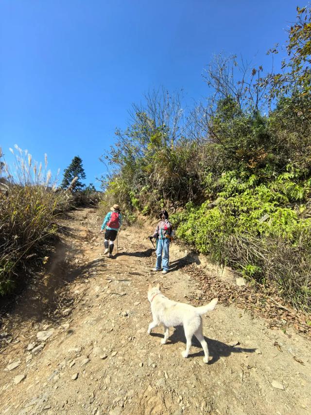 @湖南人，现在出发，去邂逅这片绝美冰晶世界！