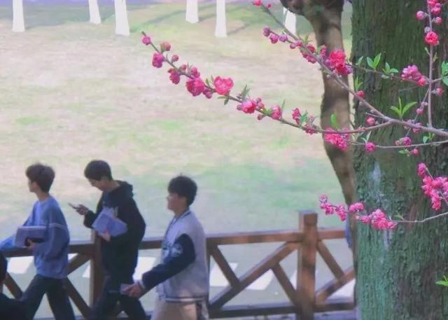 要开学啦！这些三明高校隐藏美景，还不来吗？
