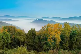 2023年，龙泉山新记录的动植物增加571种图片