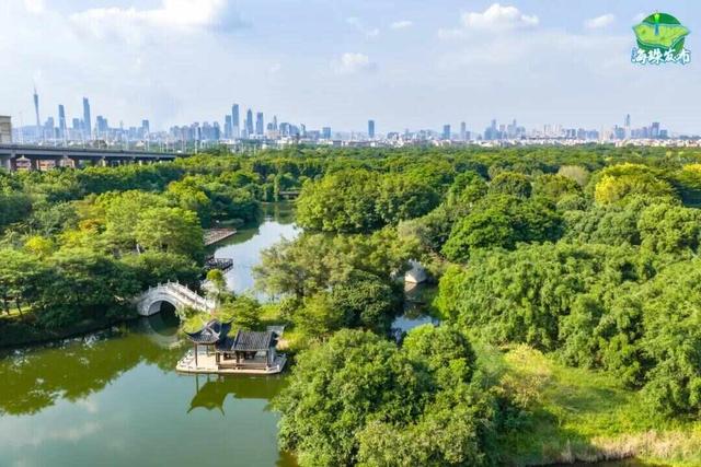 《珠江》里，藏着这么多广州海珠“宝藏”