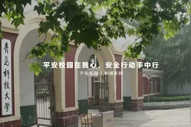 山财大“考税专业户”，青科大“橡胶世家”，聊大“边疆先锋”，山艺灵活就业，大家都有光明未来图片