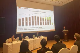 观察｜美欧围堵中国新能源车，“全球南方”能否成为出口新增长点？图片