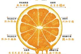 湖南风物志·柑橘王国图片