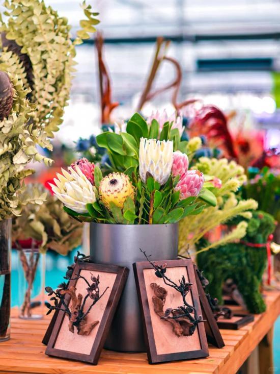 2026沪上年宵花市开逛！“花”式逛出新年味