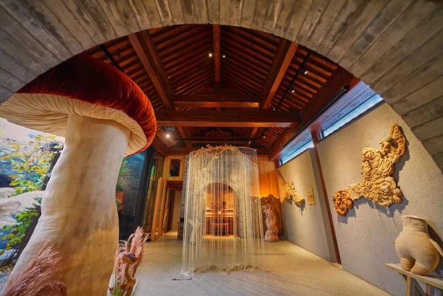 来东城这个胡同小院，邂逅蘑菇精灵的童话秘境——