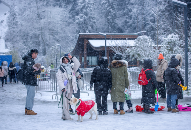 【超级福利】1小时直达成都“小瑞士”！冰雪徒步/雪地魔毯/音乐会/NPC巡游……