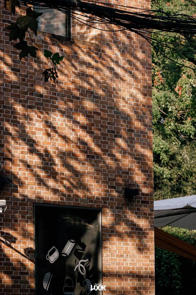 上海最美不过愚园路