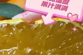 爱媛38号果冻橙挂满枝头 党员志愿者为村民服务图片