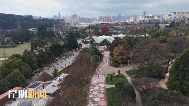 盘龙区：让沉睡的历史“活”起来 擦亮文旅融合新名片