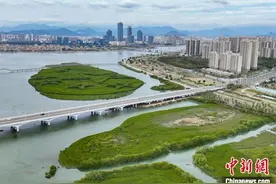 （“厦门实践”调研行）下潭尾红树林公园：海湾生态修复的成功样本图片