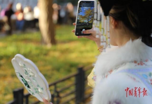 故宫角楼银杏黄