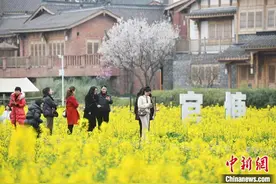 成都官塘新村春色如画 川西林盘风貌吸引游客图片