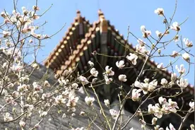春季昼夜温差之大，为何像坐“过山车”？图片