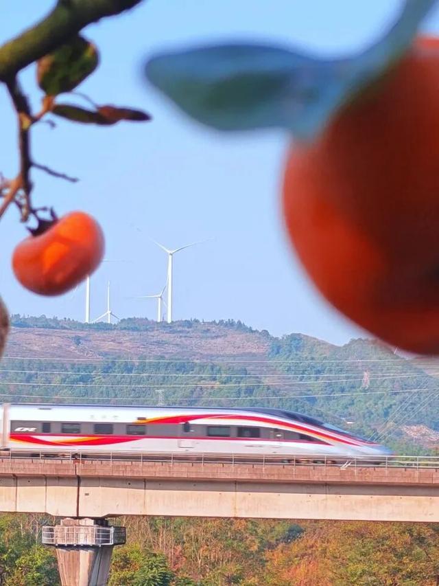 广西这座高铁站内，为啥众多旅客手拿树枝?