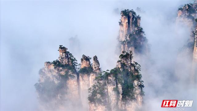 张家界错峰游热度高 天子山云海胜景醉游客