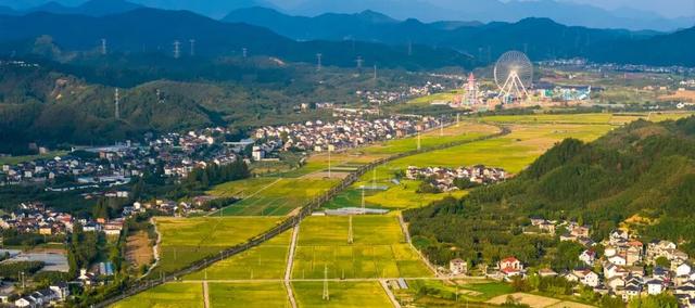 本来应该从从容容迎来秋日，现在是匆匆忙忙一冷再冷……