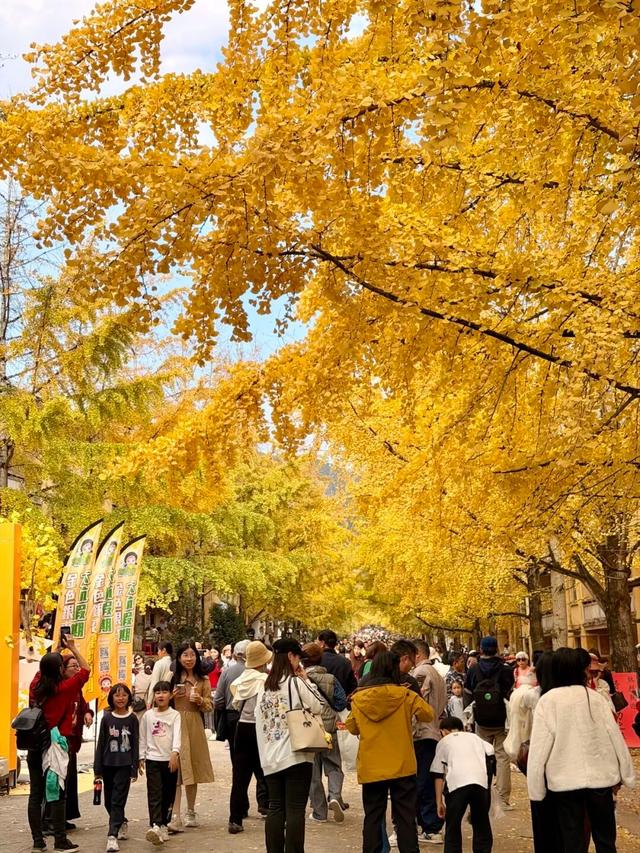 致游客｜错峰出游更舒心！南雄帽子峰的“金秋童话”，仍在为您驻留！