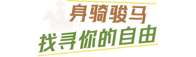 草原、骑马、旅拍｜解锁刘和刚老师同款体验！