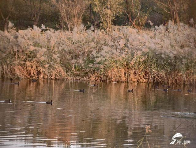 潍坊经济开发区：一场与色彩的浪漫邂逅