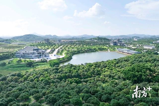 浮山岭上踏歌行！茂名重阳登高邂逅城乡新图景