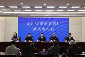 练内功、稳得住阶段 四川长江十年禁渔效果初显图片