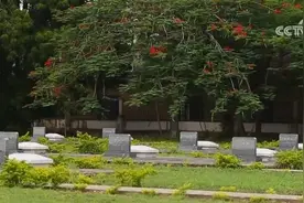 铭记历史 赓续友谊 中坦双方共同祭扫援坦中国专家公墓图片