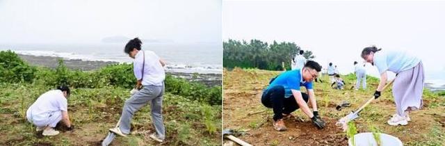 明星行动点亮海岸，公益力量扎根！田横岛生态保护焕新生之路