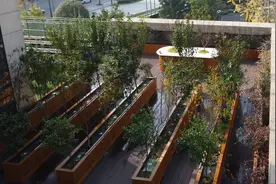 在楼房种菜，需要规避这些法律风险图片