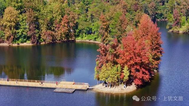 阳明湖最新“枫”情预告