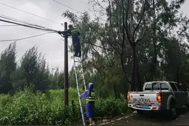 闻风而动，全力应对！福建移动严阵以待防抗台风“康妮”图片