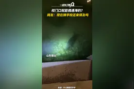 男生在校门口偶遇海豹 网友：现在换学校还来得及吗？图片