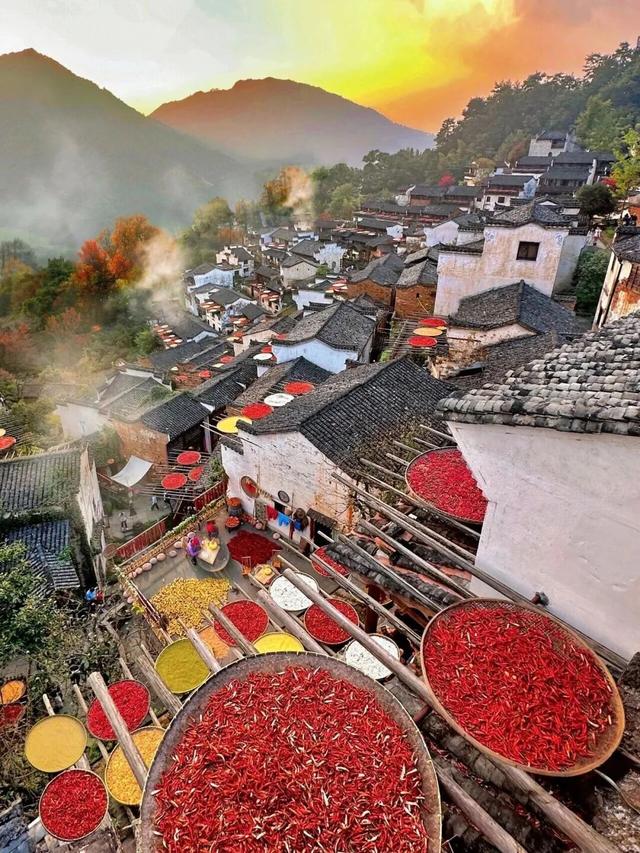 辞家千里又千里，务必开心又开心